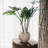 Faux Plant-1662230796-1662230835