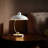Modern Goose Neck Swing Arm Table Lamp-1707014747-1684088382