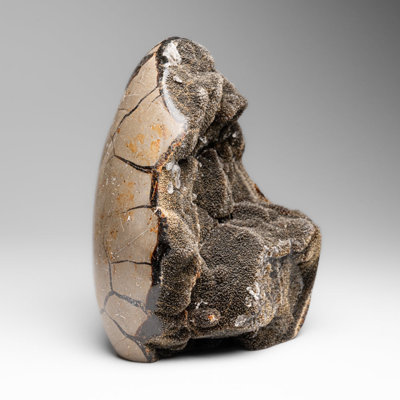 Septarian Druzy Geode Freeform From Madagascar (4.8 Lbs)
