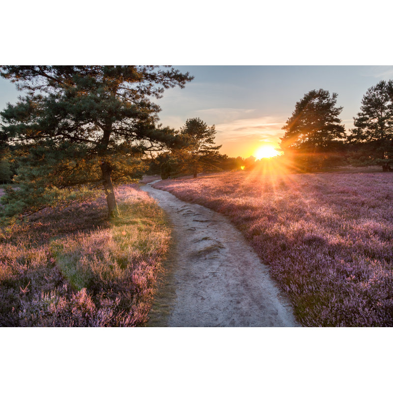 Path Trough Heathland - Wrapped Canvas Print, 30cm H x 46cm W x 3.8cm D