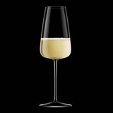 Luigi Bormioli Talismano 13.5 oz Prosecco / Champagne / Cava / Lambrusco / Sparkling Wine Glasses