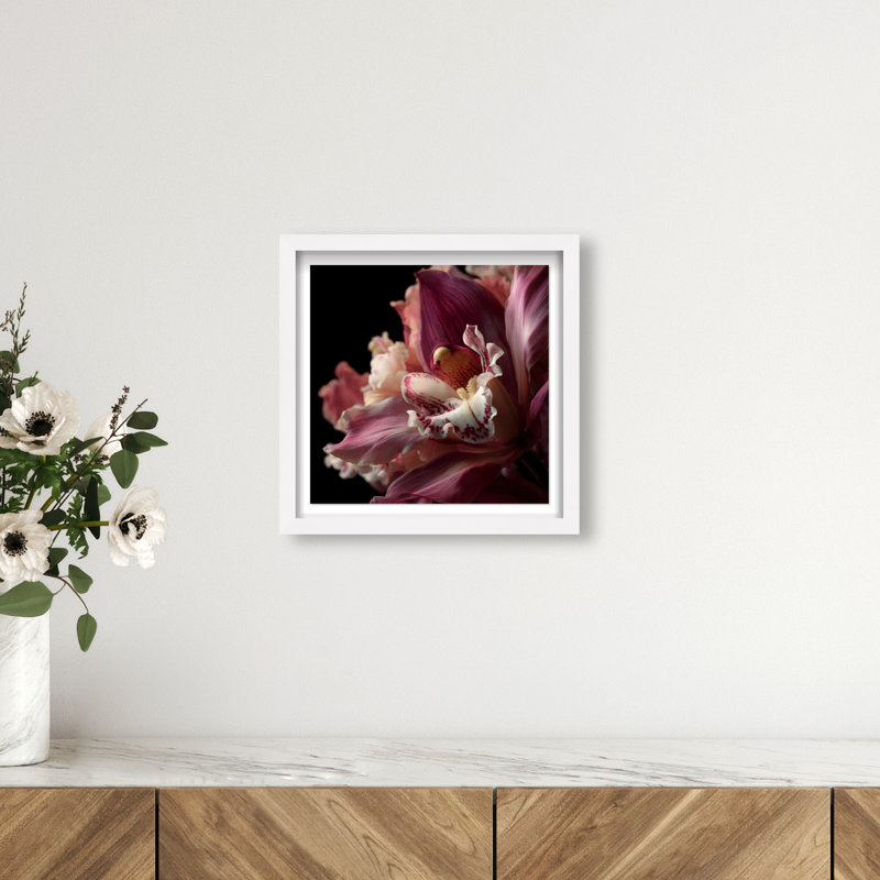 Velvet Labellum Print by Oliver Gal, 13.5"H x 13.5"W, White Shadowbox
