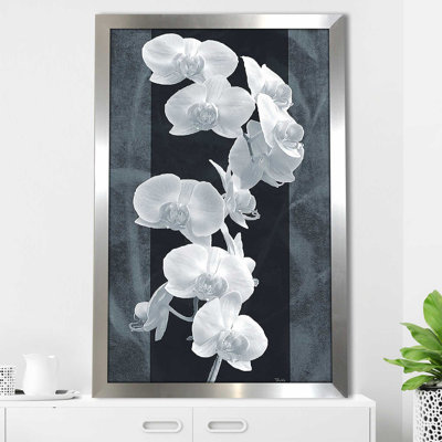 " Orchid Opulence I " by Katrina Craven