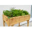 Detrick Herb Garden - Natural (FSC 100%)