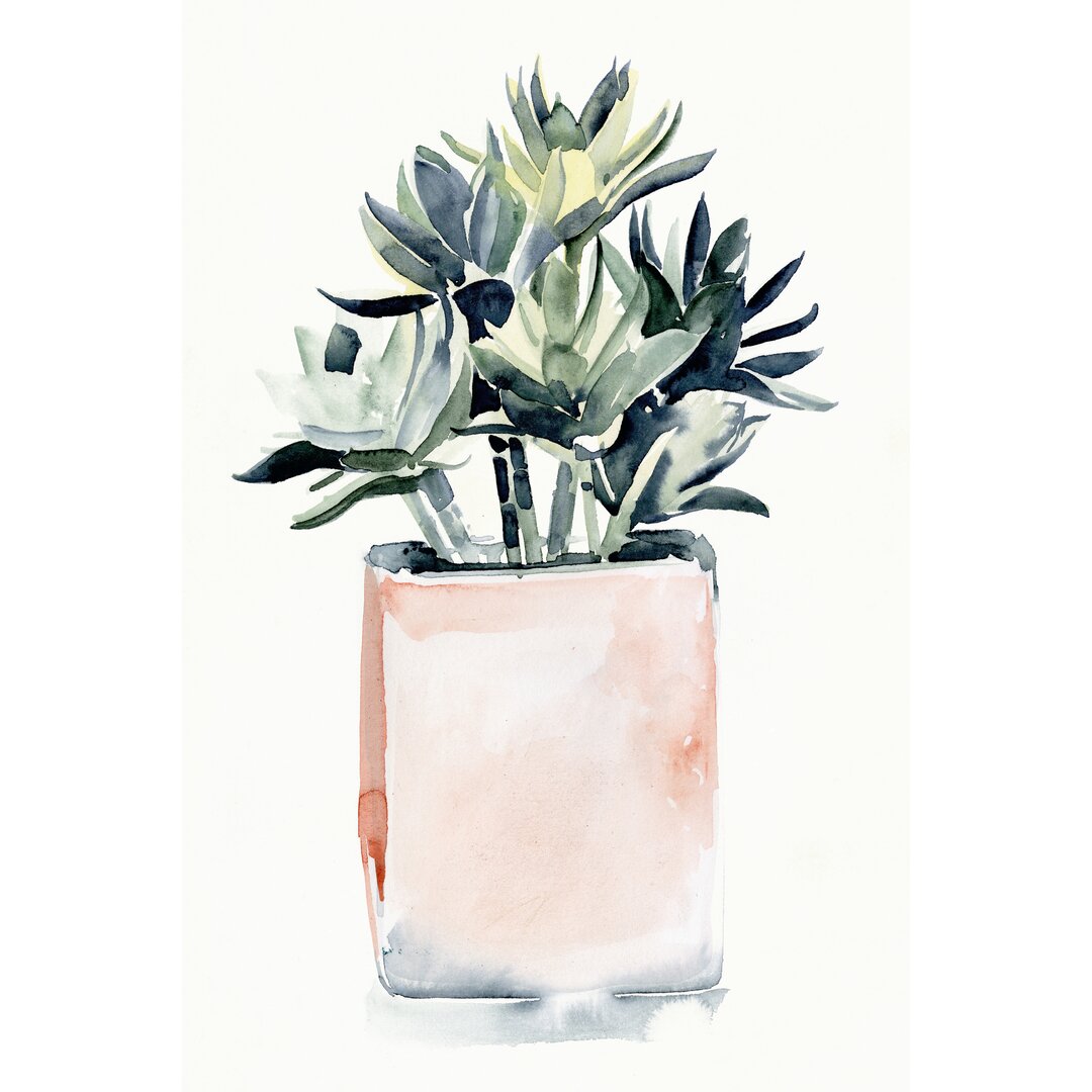 Leinwandbild Potted Succulent IV von Jennifer Paxton Parker