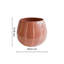 Nova Wax Relief Planter-487038287