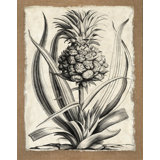 Rustic Floral 4 Print