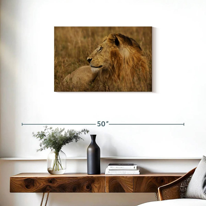 Lion au repos dans le Serengeti, H 20 po x l 30 po