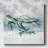 " Swim Lessons II "-214916775