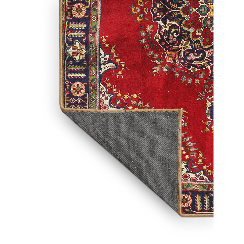 Oriental Indoor Rug, Rectangle 8' x 10'