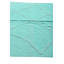 Tapis turquoise Newsom