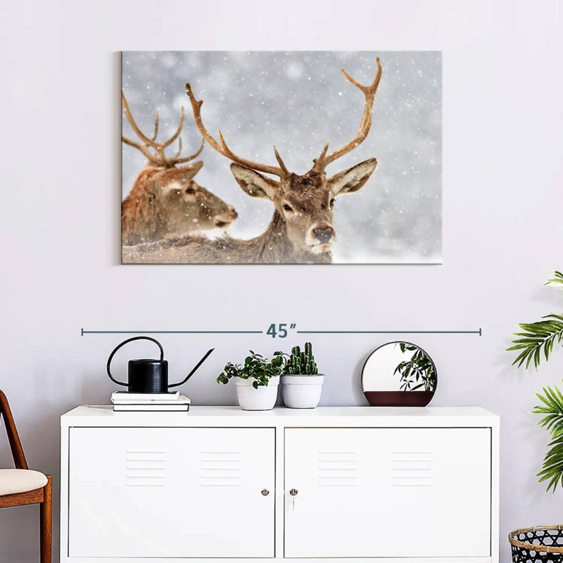Cerf rouge d'hiver Brampt, H 24 po x l 36 po