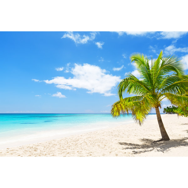 Luxury Rentals In Sydney White Sandy Beach Reference: Highland Dunes White Sandy Beach Wrapped Canvas Photograph
