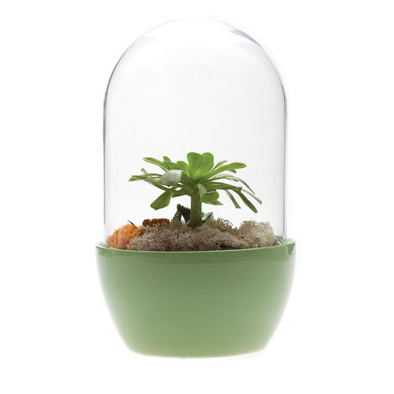 Ceramic Table Vase, Kermit