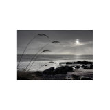 Riverton Breeze Print by Nathan Secker