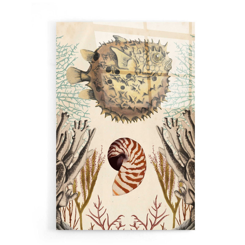«Antiquarian Menagerie-Puffer Fish» par Naomi McCavitt, art mural en verre acrylique, H 24 po x l 16 po x P 0,2 po