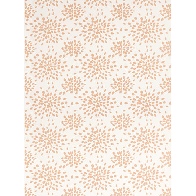 FIREWORKS WALLCOVERING