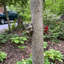 Statue de jardin en résine Jessalyn