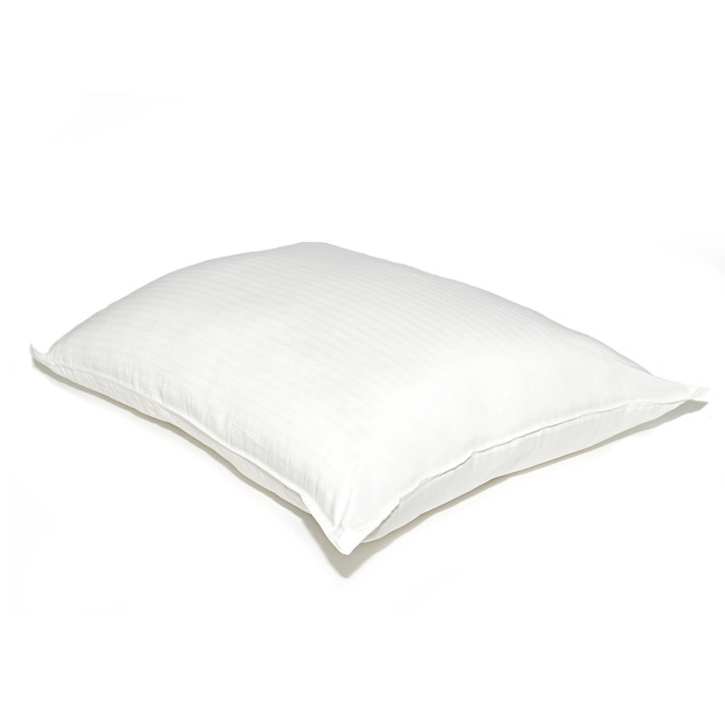 Coussin Aliya, Standard