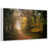 Floating Frame White