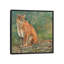 « cougar assis », impression sur toile-72406180-72406181-33109282
