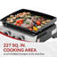 Royal Gourmet Portable 17 Inch 2-Burner Tabletop Gas Griddle, Black