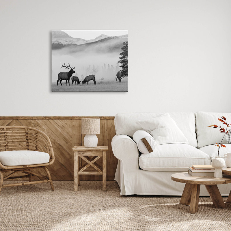 Art mural sur toile brumeux, "Deer" par Danita Delimont, H 30 po x l 40 po x P 1,5 po