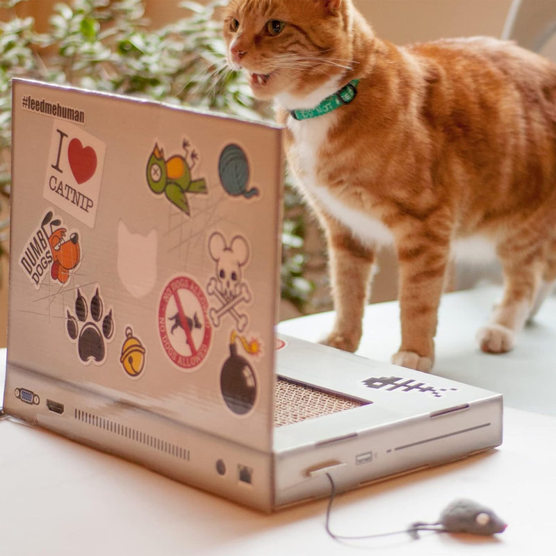 Pet Bed Accessory