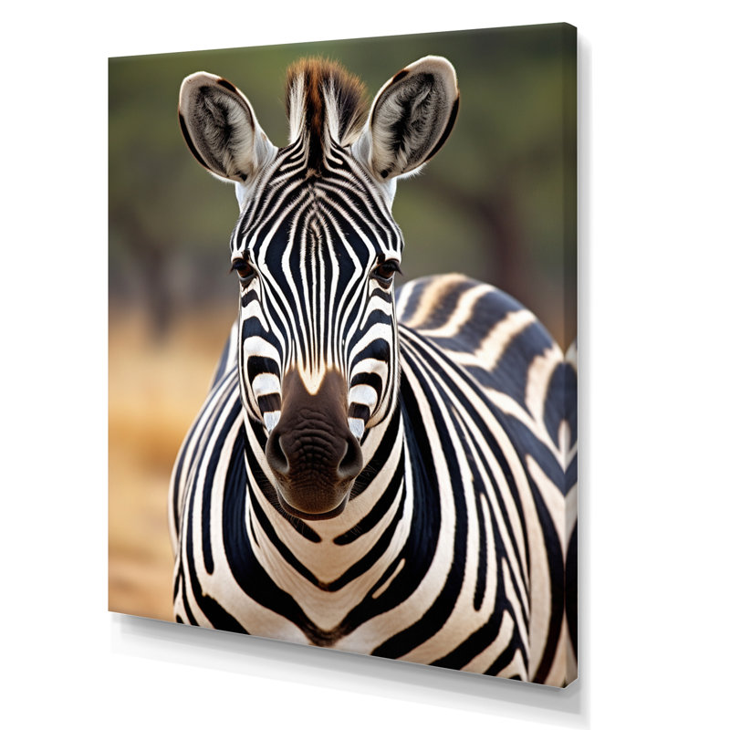 " Zebra Zebra Patterns In ", 20" H x 12" W x 1" D
