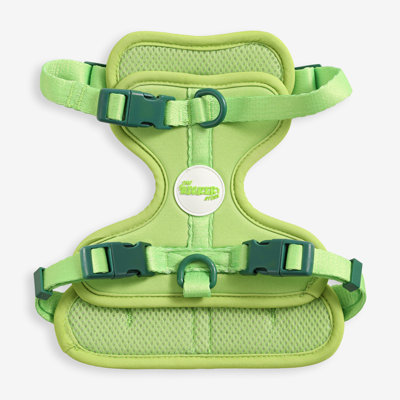 Harnais pour animal de compagnie Arlo