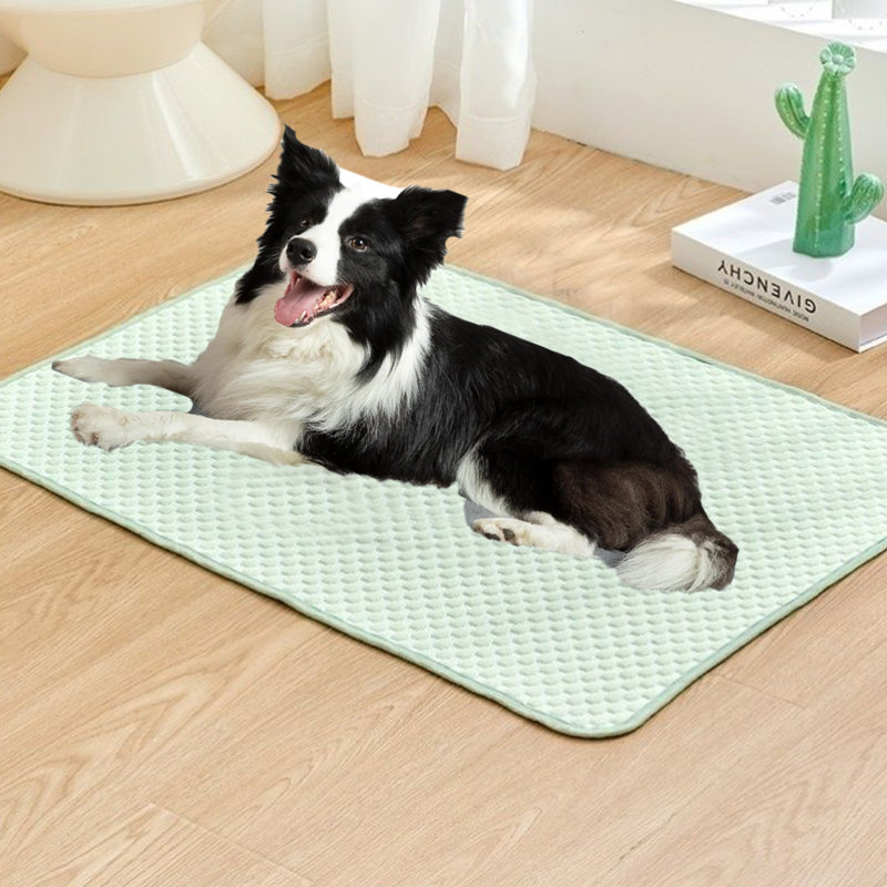 Tapis de refroidissement en soie glacée pour chien Summer Cool, Grand (H 0,3 po x l 39,4 po x P 27,6 po), Vert