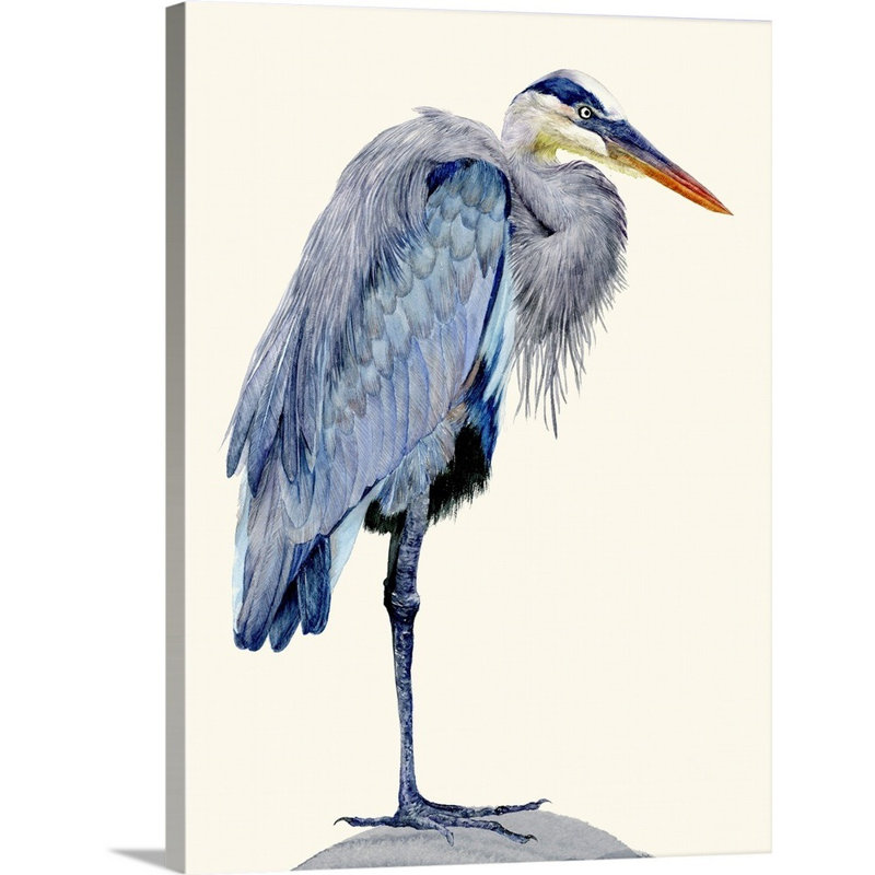 Heron Study II, art mural sur toile, Toile tendue, H 48 po x l 36 po x P 1 po