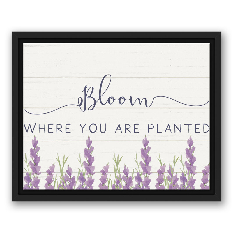 " Bloom Where Planted Lavendar "