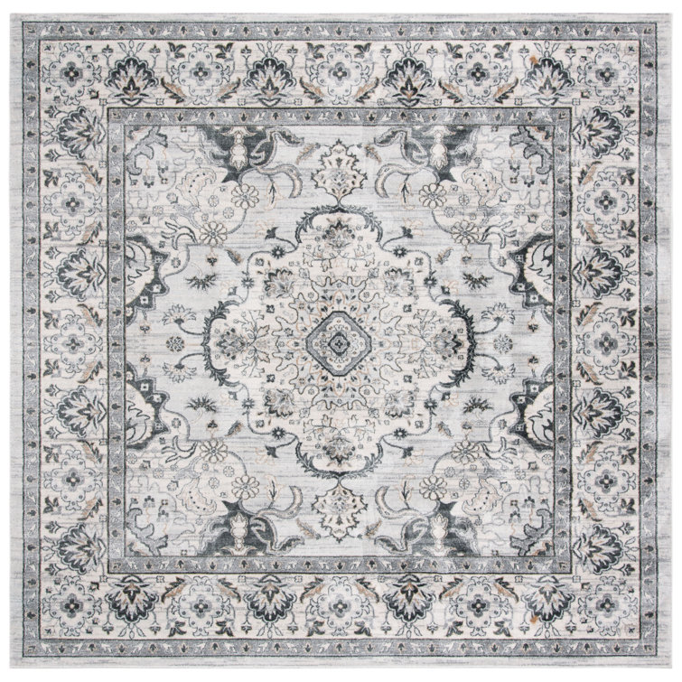 Delmer Performance Oriental Rug