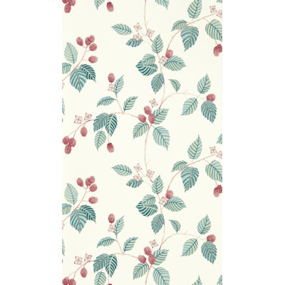 Rubus Wallpaper