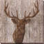 " Majestic Deer " by Tava Studios-64175926-64175931