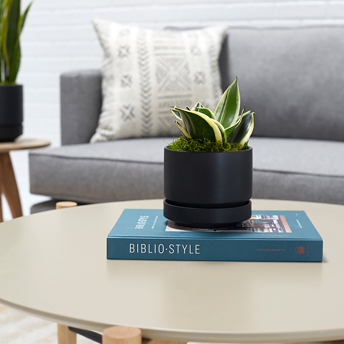 Byer Handmade Ceramic Pot Planter, Black, 6" H x 7" W x 7" D