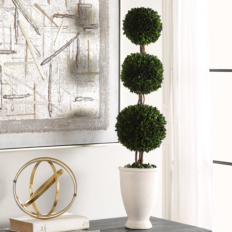 Boxwood Topiary Plant in Terracotta Planter