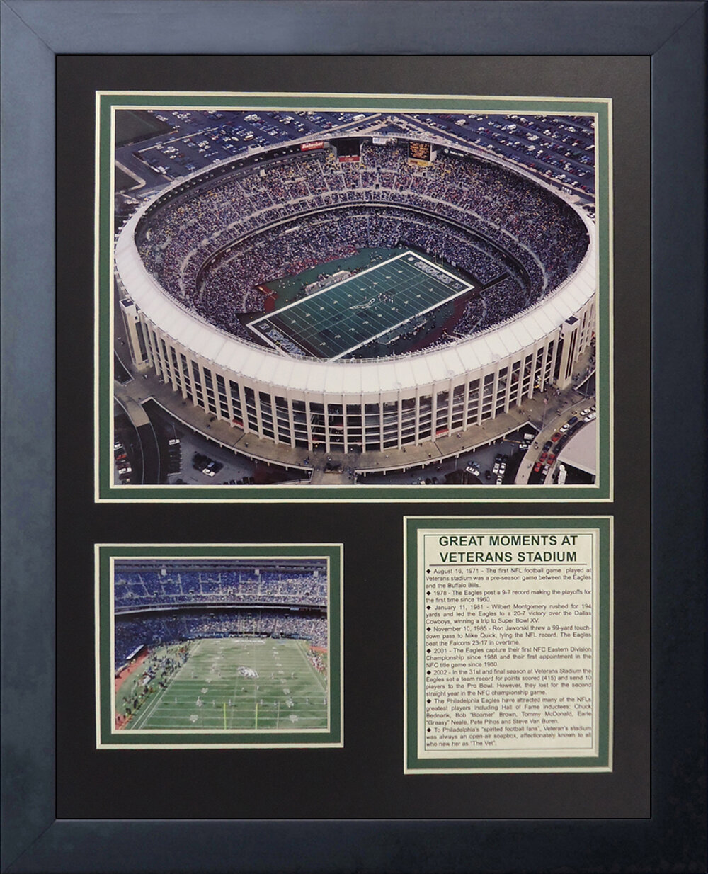 Philadelphia Eagles Framed Vintage Sports Wall Hanging 1960 