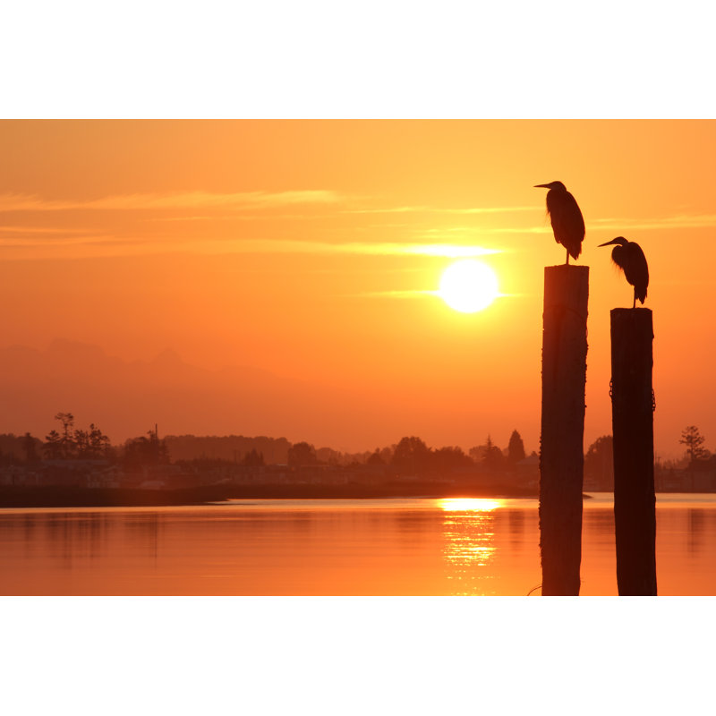 Herons at sunrise 1 Piece Wrapped Canvas Wall Art, 51cm H x 76cm W