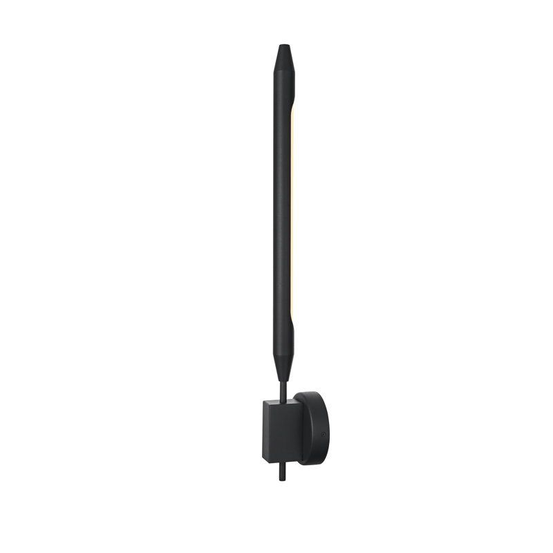 Omarie Outdoor Wall Sconce in Black