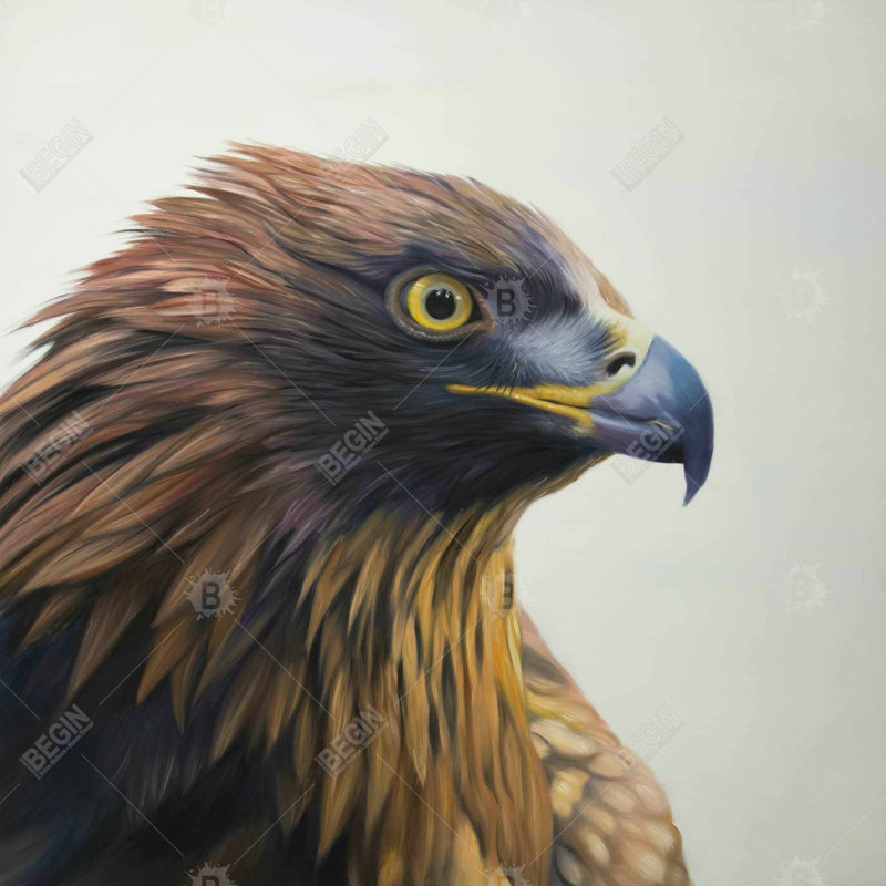 Brown-headed eagle - 18"x18" Throw pillow - Poly twill - Print on demand