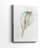 Pastel Shell I -Gallery Wrapped Cavas-756735040