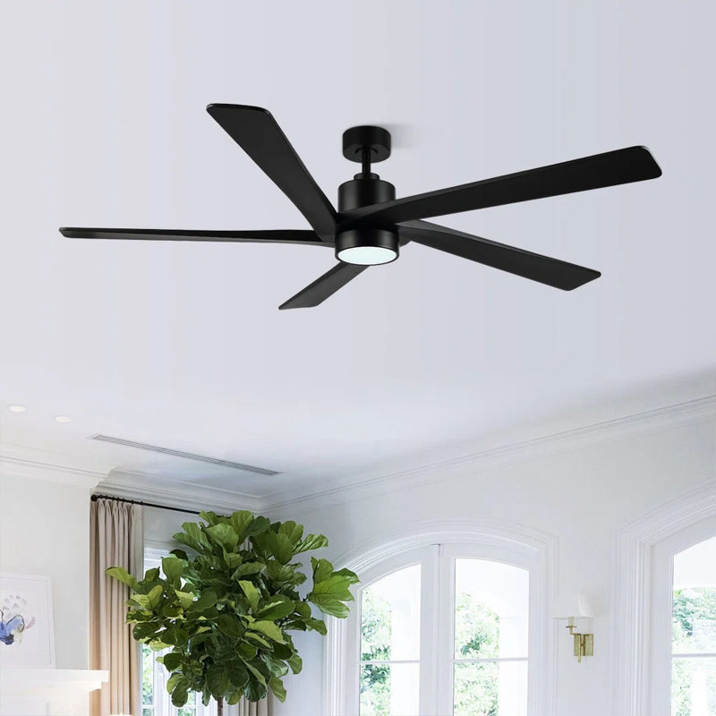 Athanafis Ceiling Fan with LED Lights, Black, 54", Black