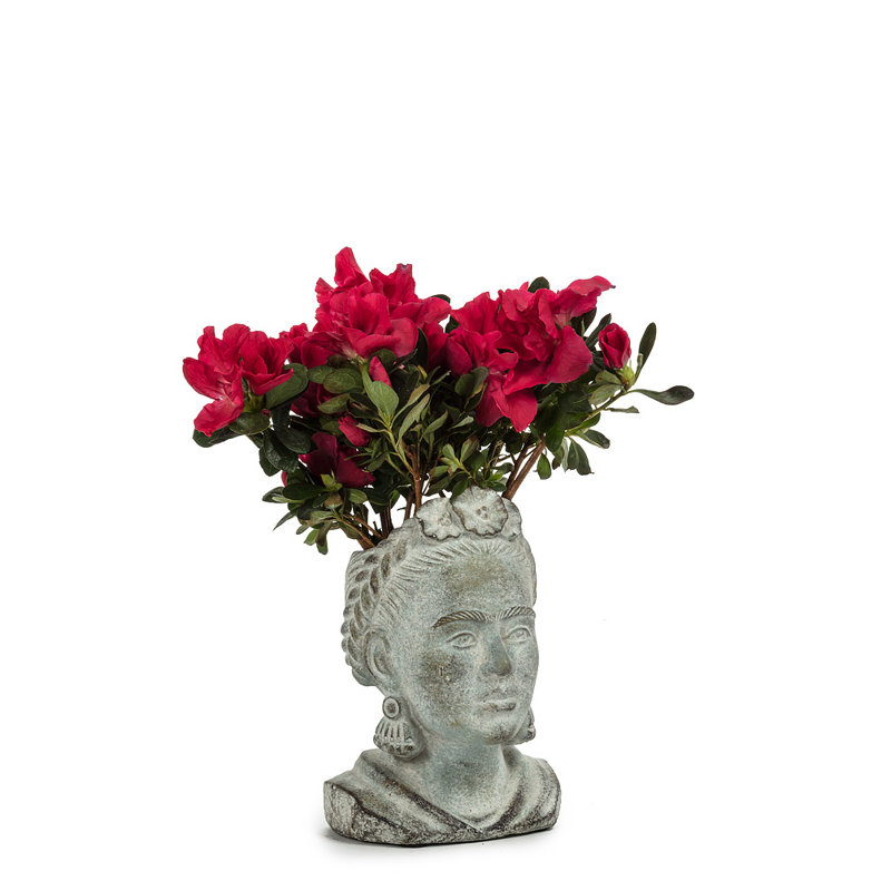 Derik Statue Planter, 7" H x 3.5" W x 3" D