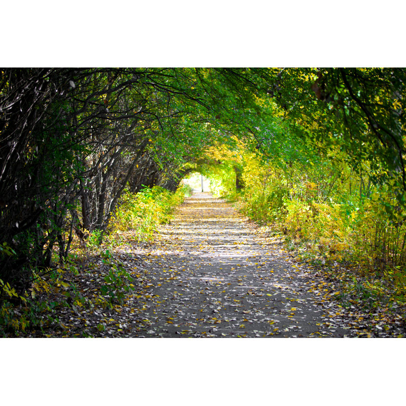 Walkway With Trees by Jeka1984 - Wrapped Canvas Print, 30cm H x 46cm W