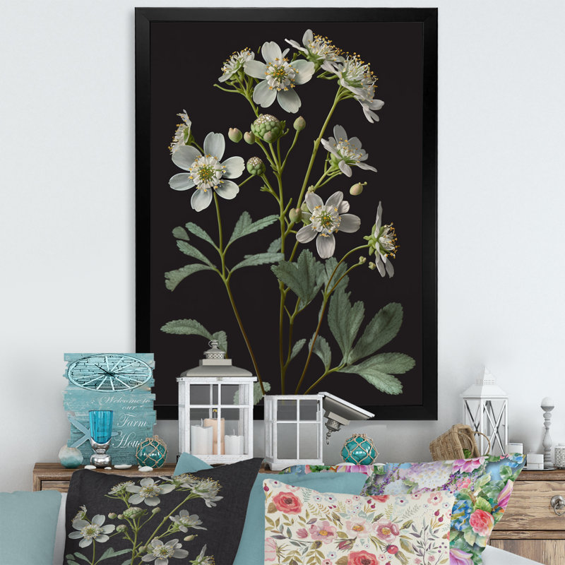 «Blossoming Diphylleia Grayi on Black I», reproduction sur toile, Cadre photo noir, H 20 po x l 12 po x P 1 po