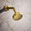 Awaken G90 Single-Function Full/Standard Fixed Shower Head-749082038-777960555
