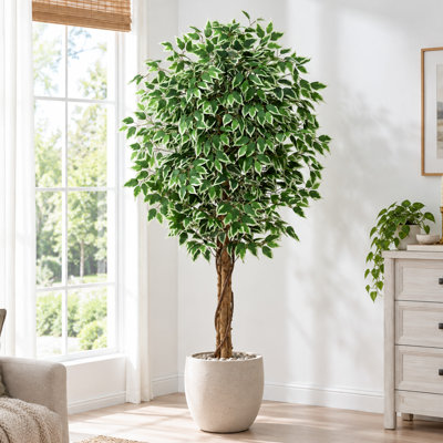 6FT Artificial Ficus Tree Indoor - Variegated White Leaf Fake Ficus Tree in Black Cement Pot - Realistic Ficus Tree Artificial for Modern Living Room, Office & Entryway Decor
