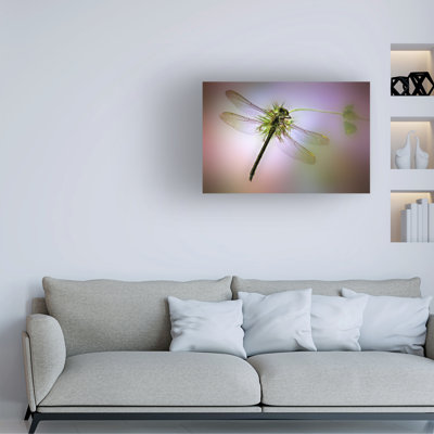Art sur toile Jimmy Hoffman Libaulamlula